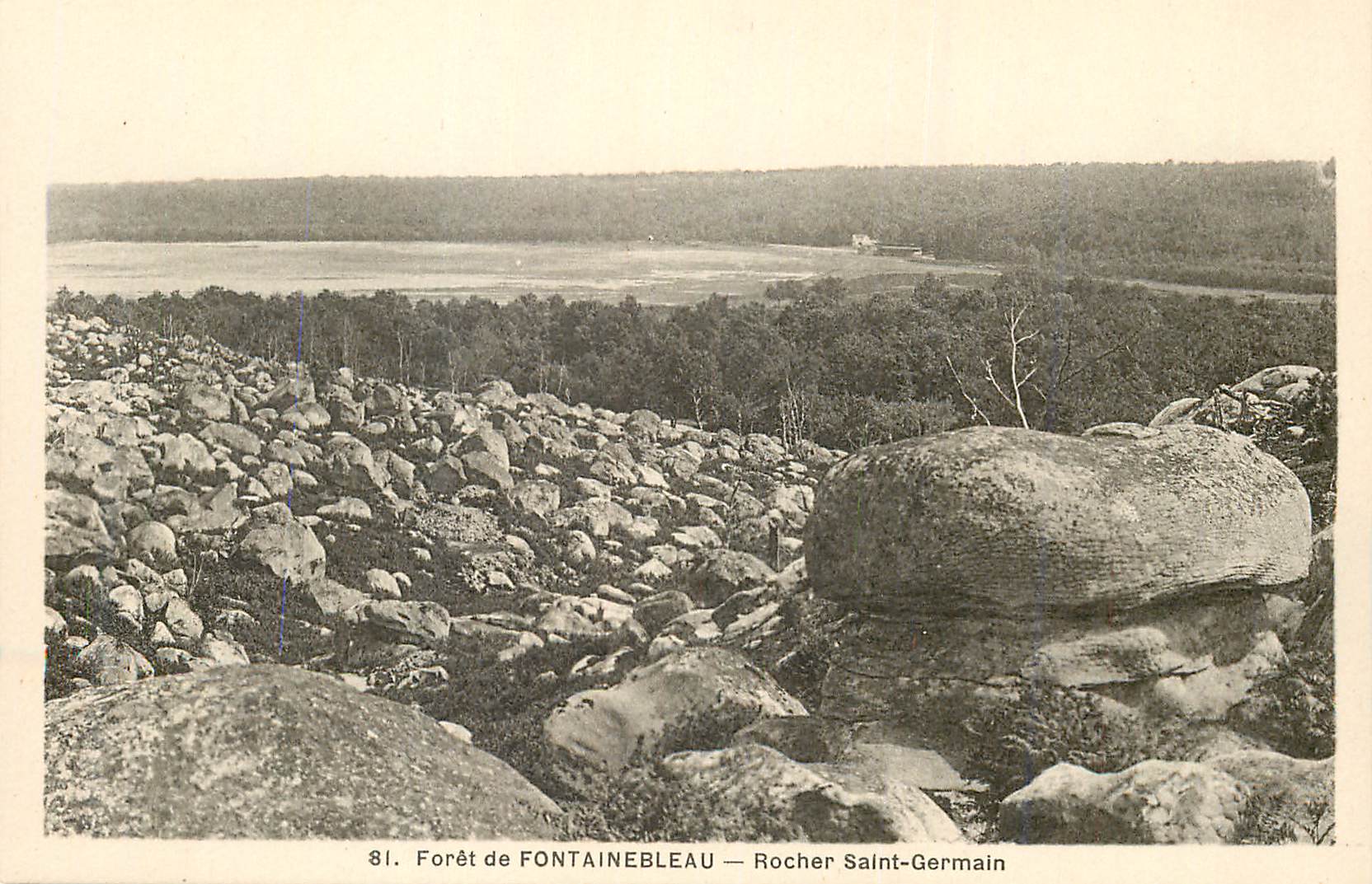 Bosque de FONTAINEBLEAU — Roca de Saint-Germain — 81.